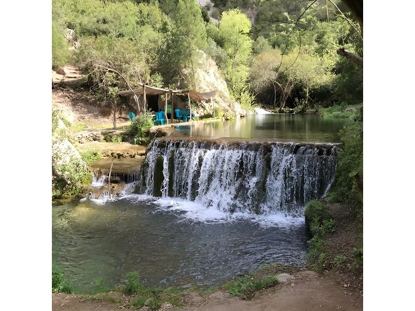 From Tangier: Day Trip to Chefchaouen and Akchour Waterfalls