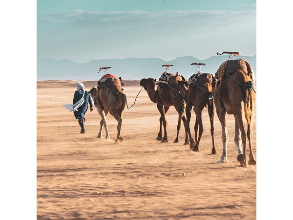 2-Day Shared Zagora Desert Tour from Marrakech