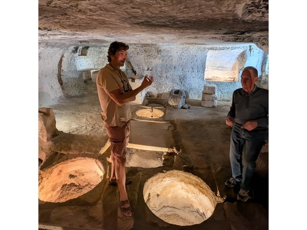 Lecce to Galatina E-Bike: Olive Mill & Wine Tasting + Taxi back