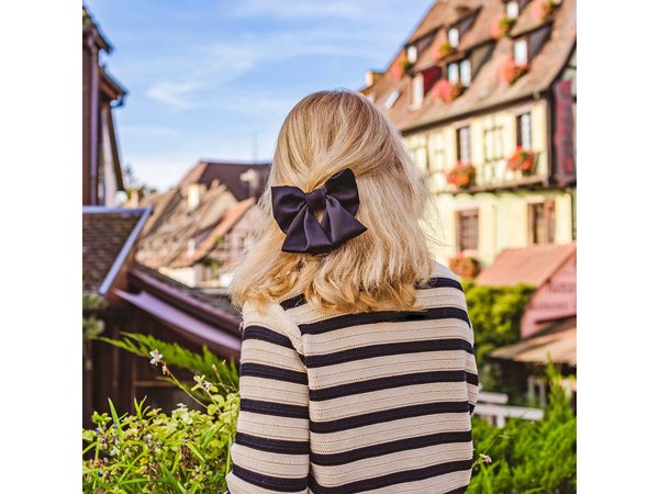 Colmar Walking Tour with Audioguide on Your Smartphone
