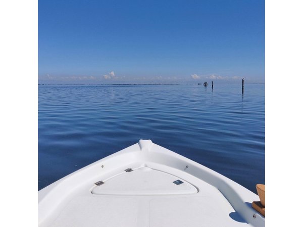 Chioggia : Private Boat Tour To Discover The Venetian Lagoon