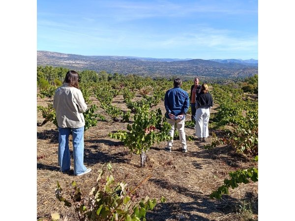 Madrid Wine Tour with Winery Visit & Wine Tasting