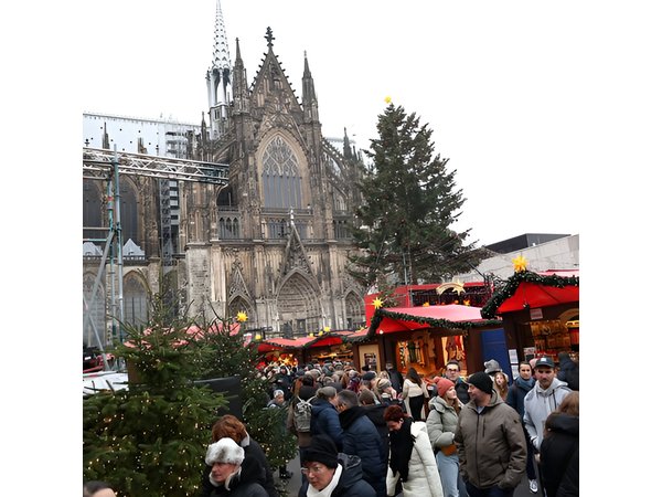Cologne Small-Group Day Tour from Amsterdam