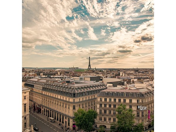 Paris Essentials Private Tour by a born-and-raised Parisian guide