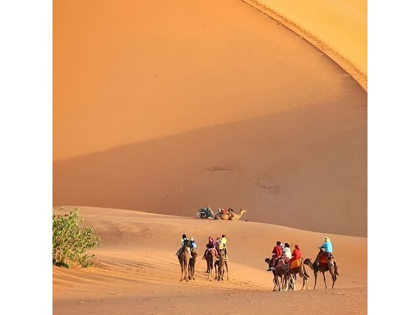 Marrakech to Fez via Merzouga Desert 3-Days | Marrakech-to-Fes