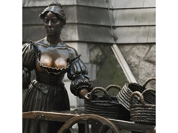 Highlights of Dublin Private Walking Tour with Guide