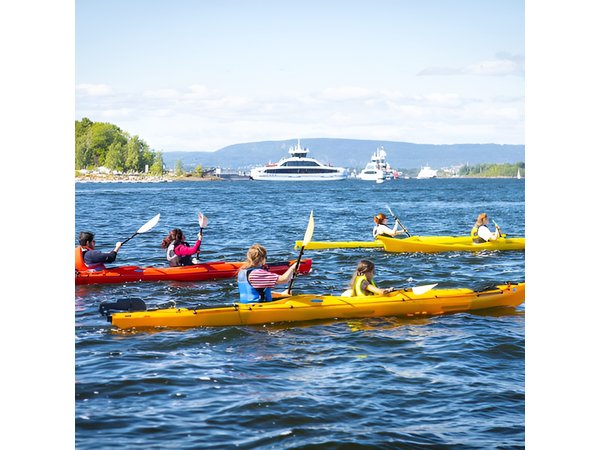 Oslo Sea Kayak Tour: Explore The Incredible Oslofjord