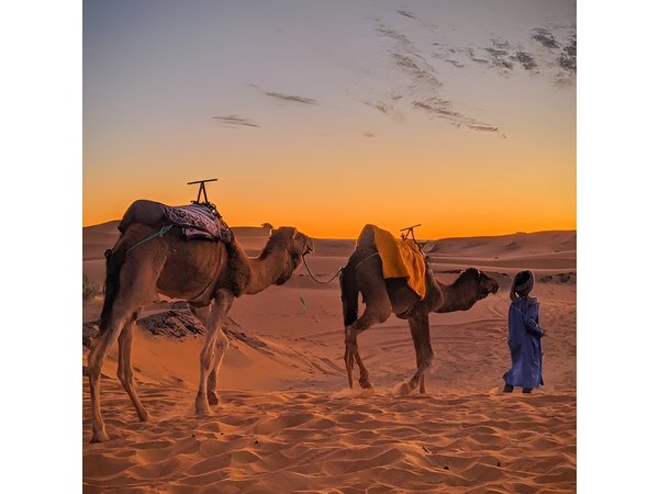 3-Days 2 Nights from Fes to Marrakech Private Luxury Desert trip