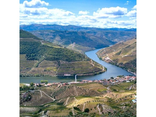 Private Douro Valley Tour: Boutique Winery & River Cruise
