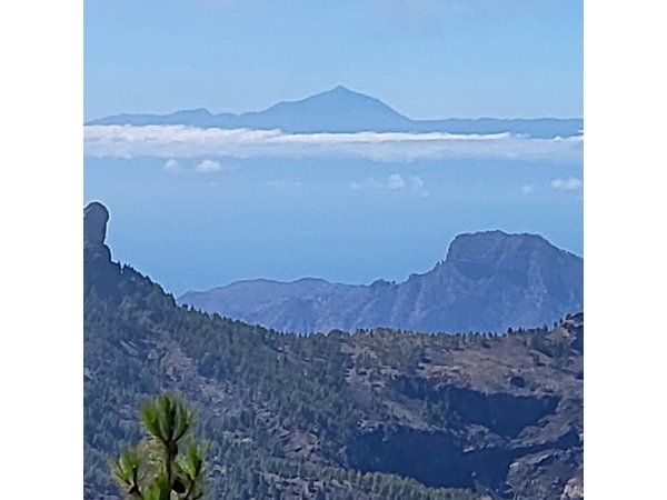 Private Tour from Las Palmas Dunes and Mountains
