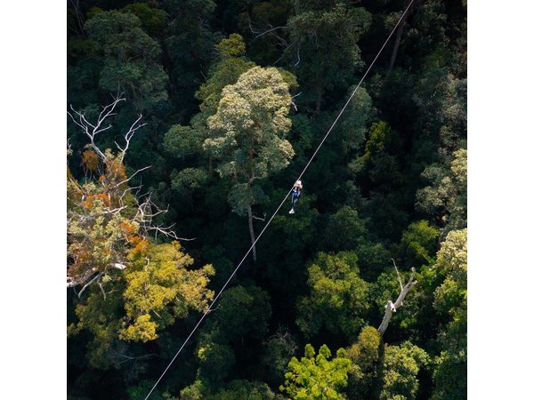 Gold Coast Canyon Flyer Zipline Tour