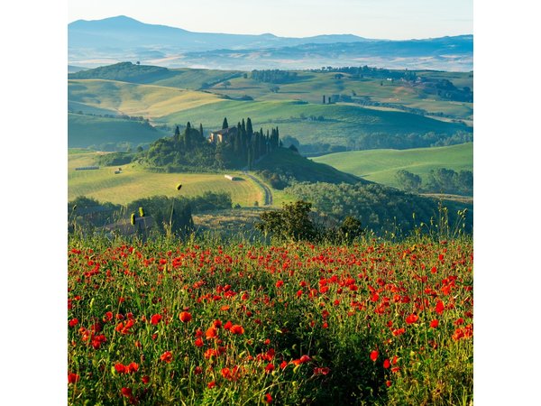 Rome: Tuscany & Montepulciano Day Trip with Lunch & Wine Tasting