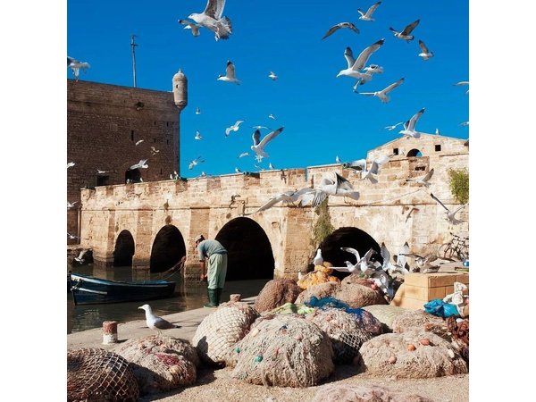Essaouira day trip from Marrakech
