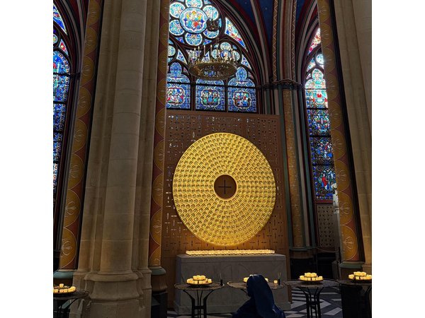 Private Notre Dame de Paris Exclusive Interior Access