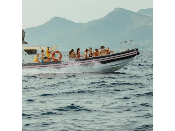 8 Hour Private Sea Safari Speedboat Dubrovnik