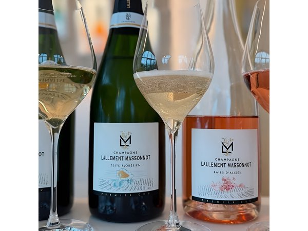Vineyard and Triple Tasting First Cru in the Mountains of Reims