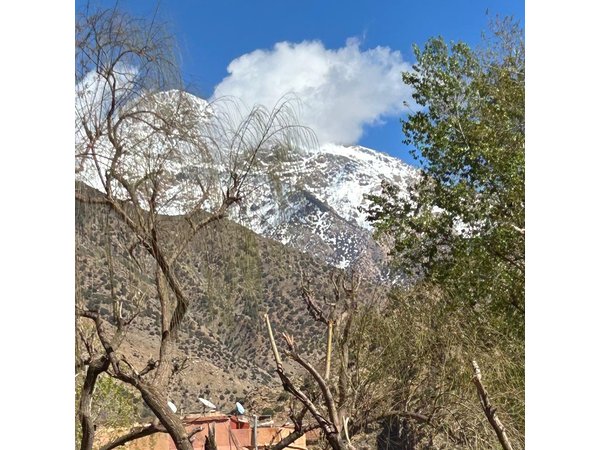 Full Day Atlas Mountains Private Day Tour From Marrakech