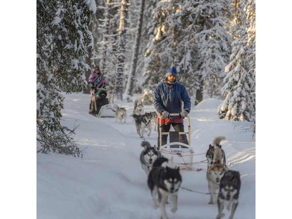 Snowy Trails 10km Husky Safari from Rovaniemi