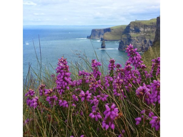 Private Day Tour Cliffs of Moher from Dublin