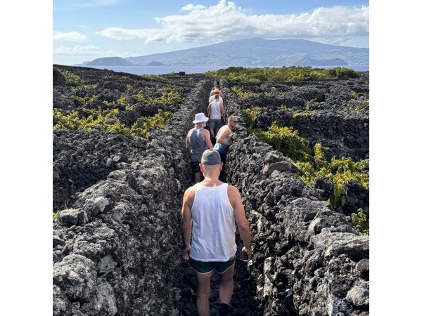 Pico Island wine culture - Private tour (+ optional wine tasting)