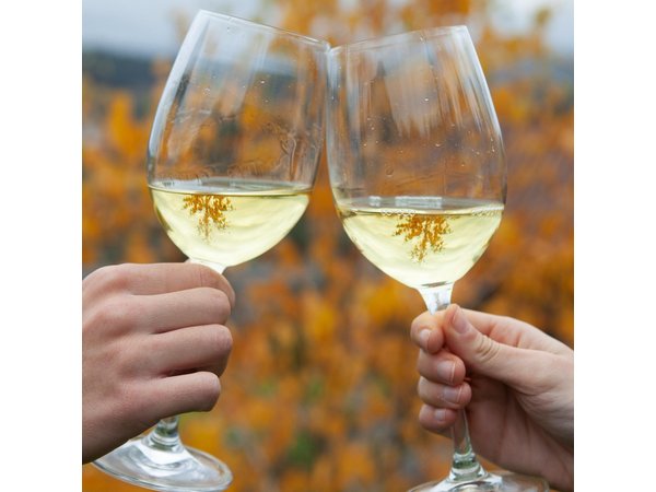 Private Txakoli wine tour in Getaria from San Sebastian