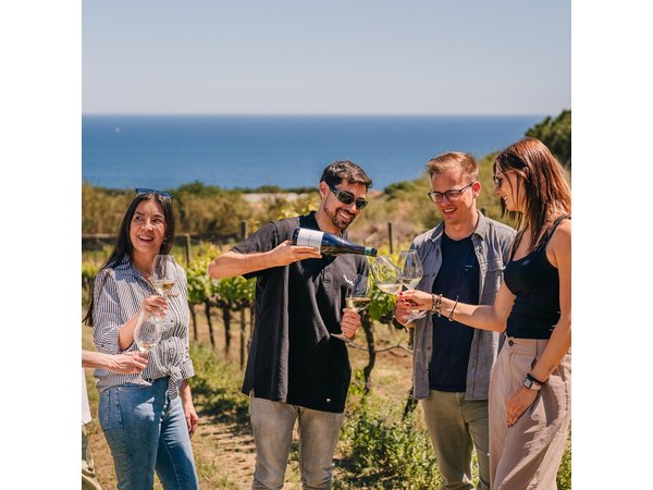 Barcelona Sailing Adventure and Small Group Winery Tasting Tour