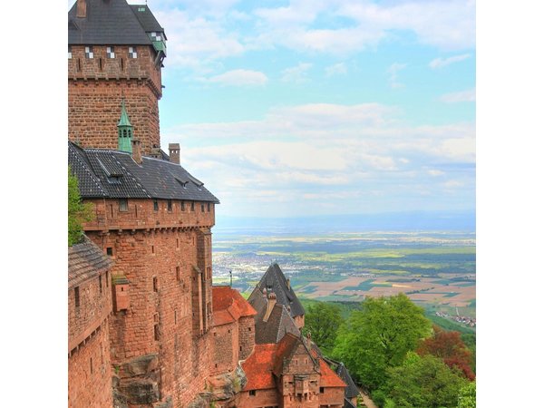 Price instead: From Strasbourg to Château ,Riquewihr and Colmar