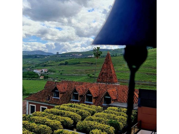 Private Wine Tasting Tour in Douro Valley