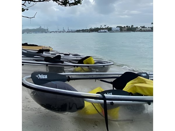 Clear Kayak Tour in South Miami Beach and Biscayne Bay
