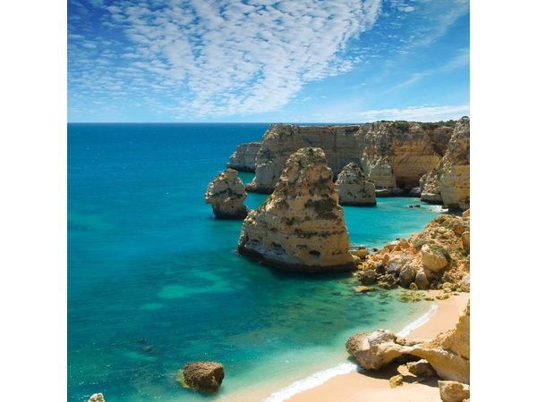 Lagos and Sagres Private Algarve Experience from Lisbon