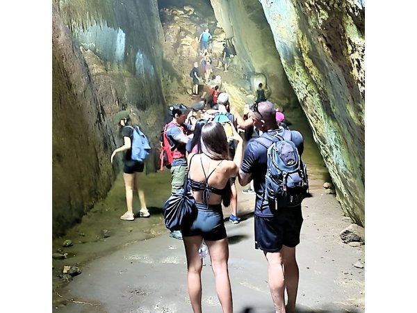 Tijuca Forest Caves and Falls Tour in Rio de Janeiro
