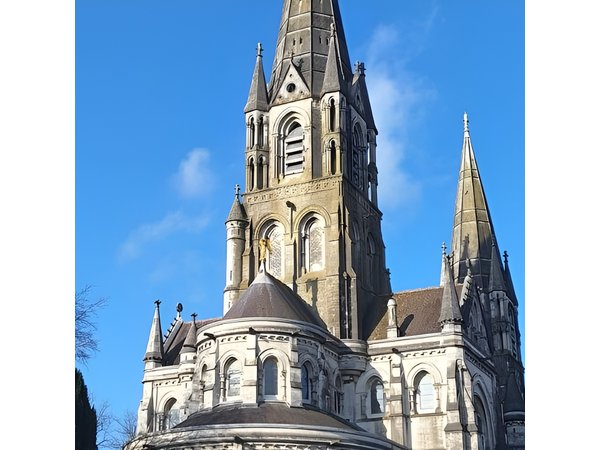 Charm of Cork A Private Walking Tour with Local Guide