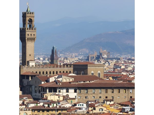 The Best Of Classic Florence - Private Tour