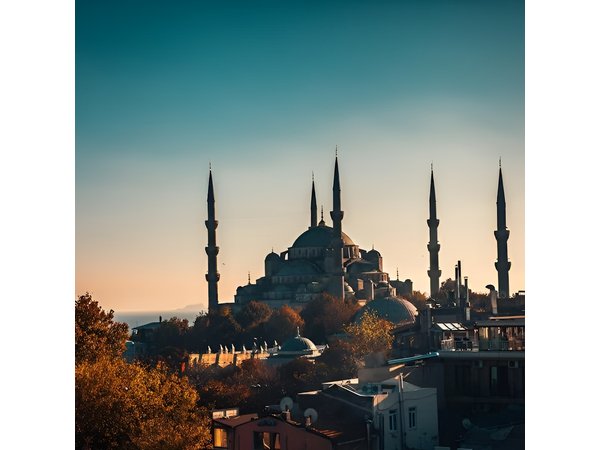 Discover Istanbul Walking Tour in Spanish