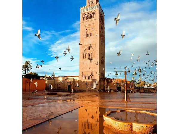 Marrakech Day Trip from Agadir Explore the Red City in a Day