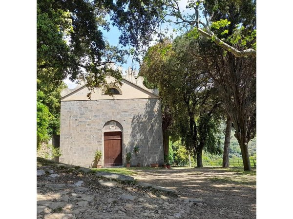 Olive grove tour with wine and oil tasting of the Cinque Terre