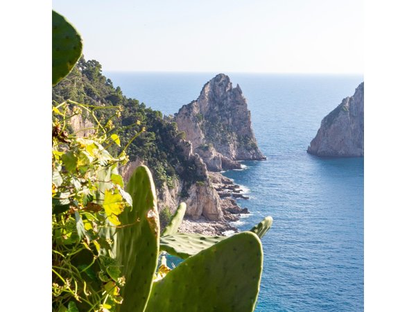 Pompeii and Capri Island Day Trip from Naples