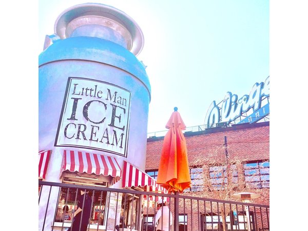 Ultimate Denver Day Out Bus Tour: Red Rocks, City Sites & Sweets