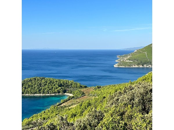 Private Peljesac Wine Tasting Tour from Dubrovnik