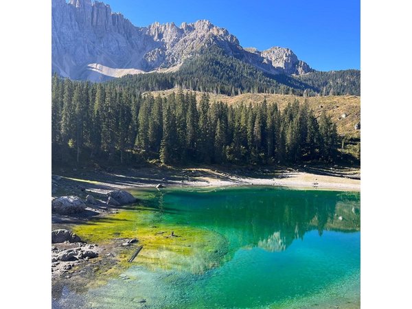From Verona area: Private day trip to the Dolomites