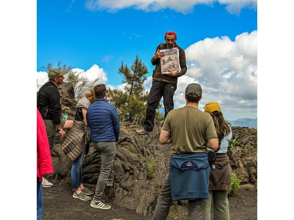 Pompeii & Mt. Vesuvius Elite Tour & Lunch From Naples