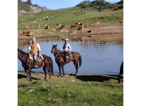 Daily out of Rome : Horseback ride with meals & wine included