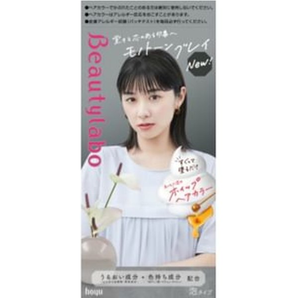hoyu - Beautylabo Whip Hair Color Monotone Gray