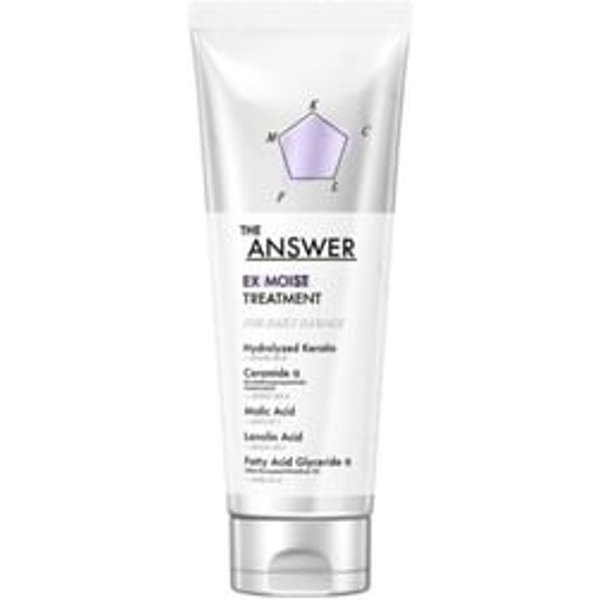 Kao - THE ANSWER EX Moist Treatment For Daily Damage 220g