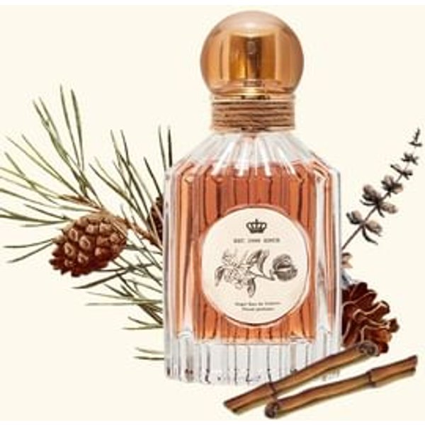 CHEERFLOR - Angel Fantasy Paradise Series Perfume - CFR1183 Pine Candlelight CFR1183 Pine Candlelight - 50ml