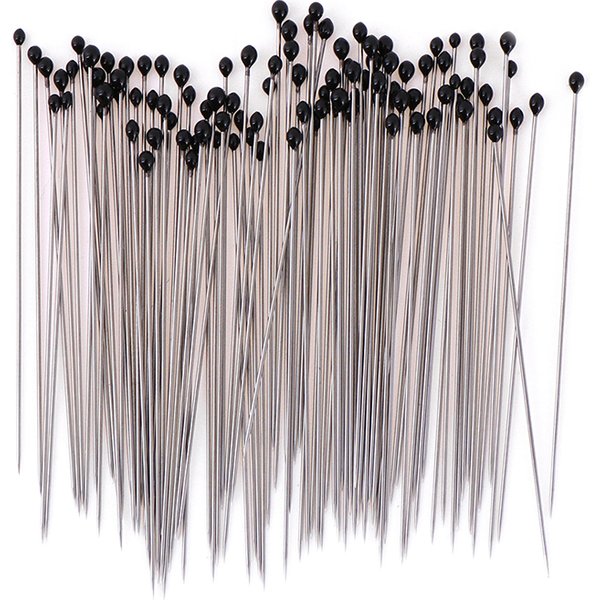 Épingles à insectes, 100 pièces, aiguille d'échantillon en acier inoxydable avec boîte en plastique pour laboratoire scolaire, entomologie, Dissection corporelle, aiguille à insectes