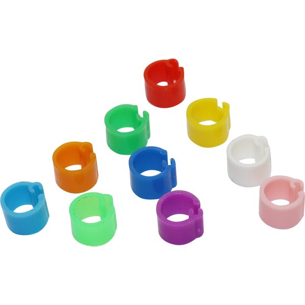 ID 6 mm wide 7mm 10 color bird foot ring plastic clip ring pigeon quail foot ring farm poultry supplies bird supplies 200 Pcs