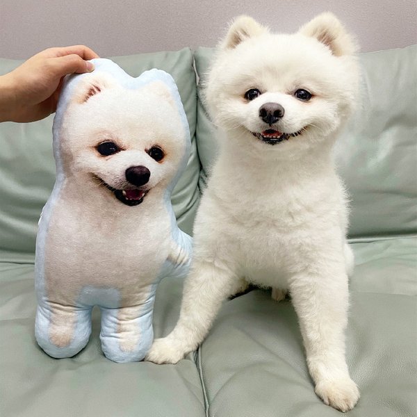 Coussin personnalisé pour animaux de compagnie avec photo DIY, oreiller en peluche, coussin personnalisé avec photo de chien ou de chat, cadeau pour la fête des mères, cadeau commémoratif pour la