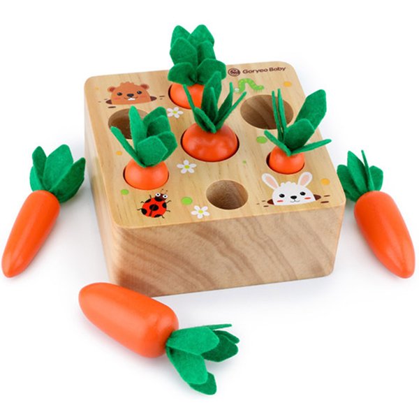 Ensemble de jouets Montessori pour bébé, traction en bois en forme de carotte, taille assortie, Cognition, éducation précoce, Puzzle, jouet sensoriel pour enfants