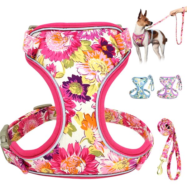 Mesh Nylon Dog Harness Lead Leash Set Reflective Dogs Vest Harnesses With Walking Belt Rope for Small Medium Large Dogs Pug